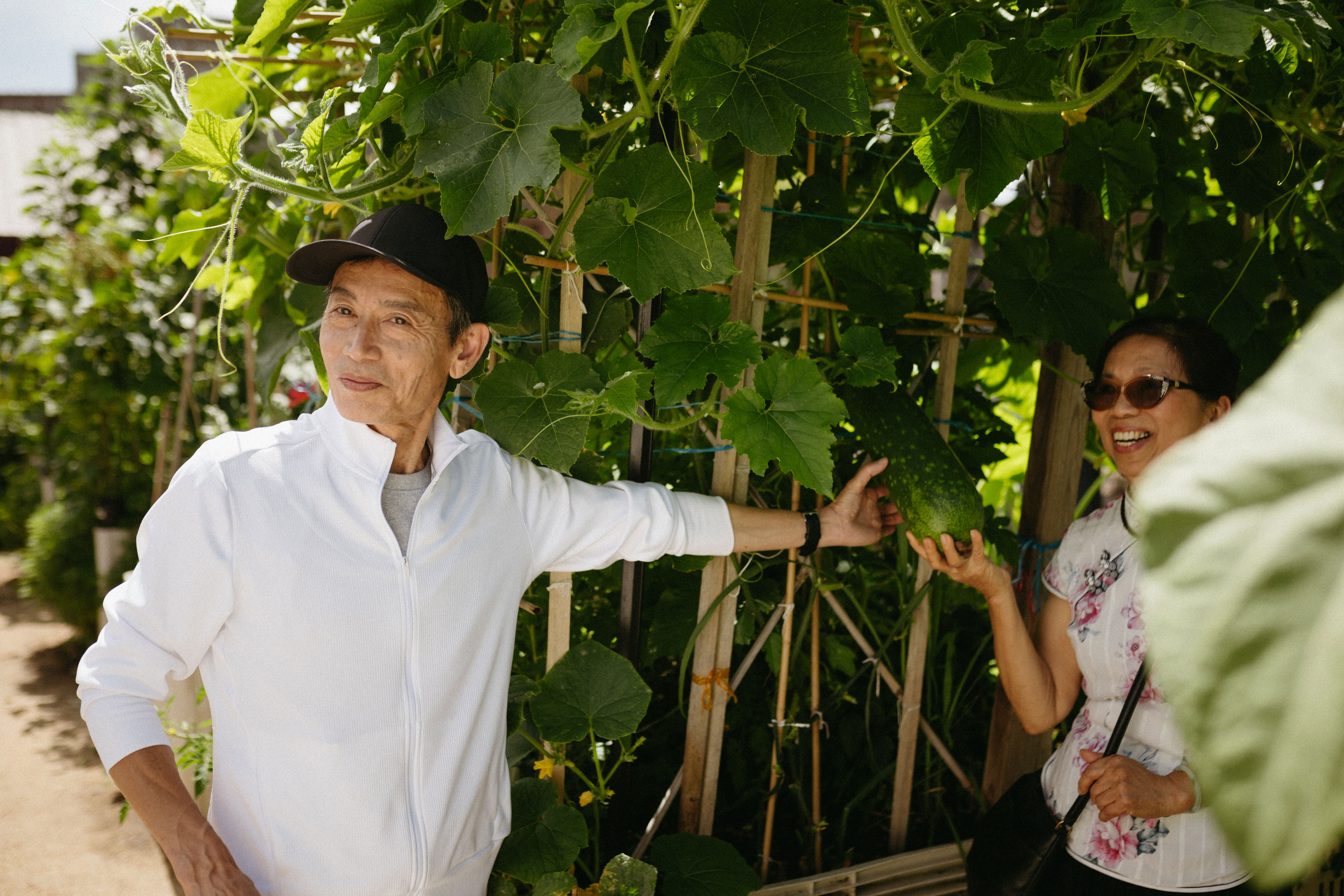 Man in his 60s is seen in a veggie garden smiling. He is wearing a white top and black cap